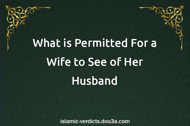 What is Permitted For a Wife to See of Her Husband